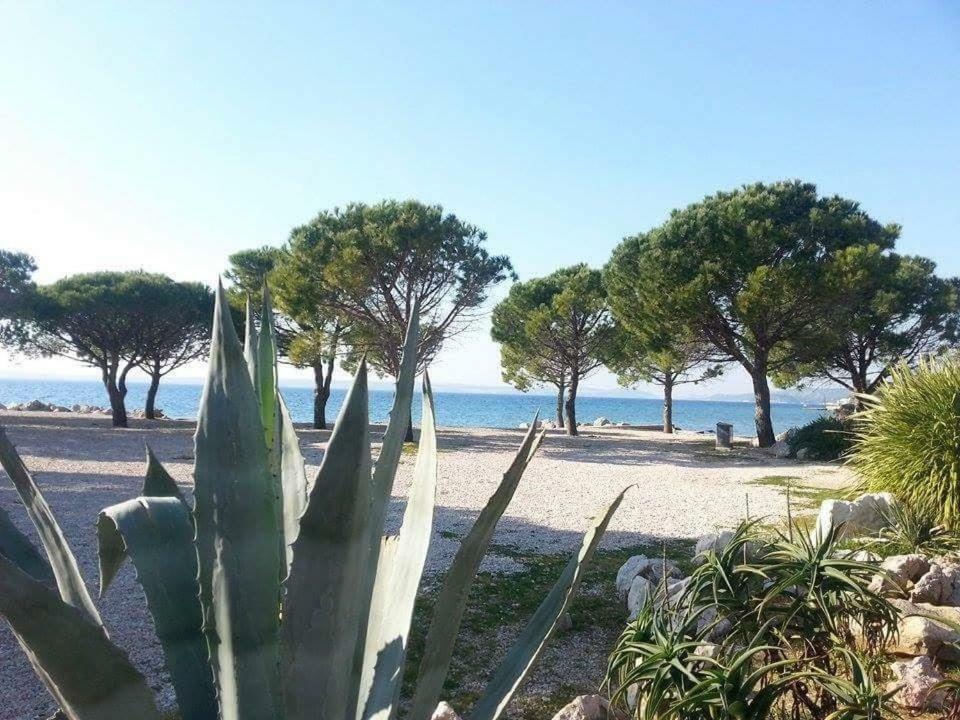 Apartment Dora Crikvenica Bagian luar foto